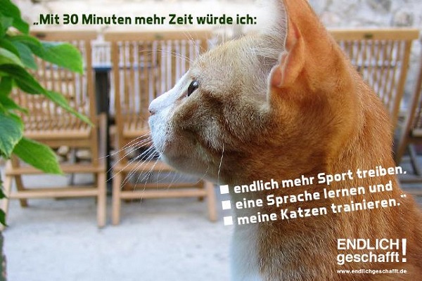 30 Minuten Sport treiben