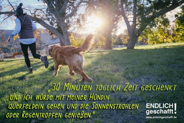 30 Minuten Zeit fuer Hund