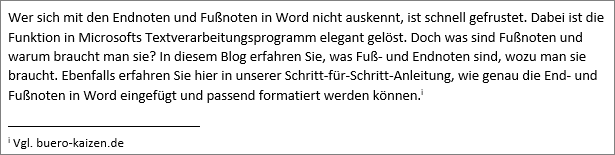 Die Endnoten in Word können sowohl am Ende des Kapitels als auch am Ende des Dokuments aufgeführt werden.