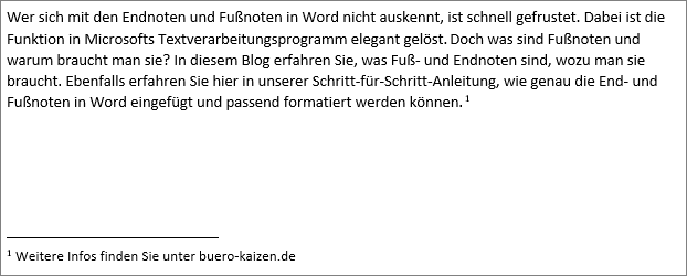 Die Fußnote in Word wird am Ende der Seite aufgeführt.