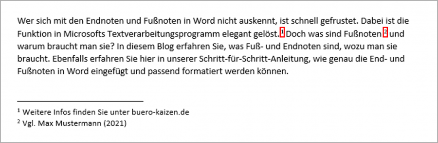 Die Fußnoten können sich sowohl auf einzelne Sätze als auch auf Wortgruppen beziehen.