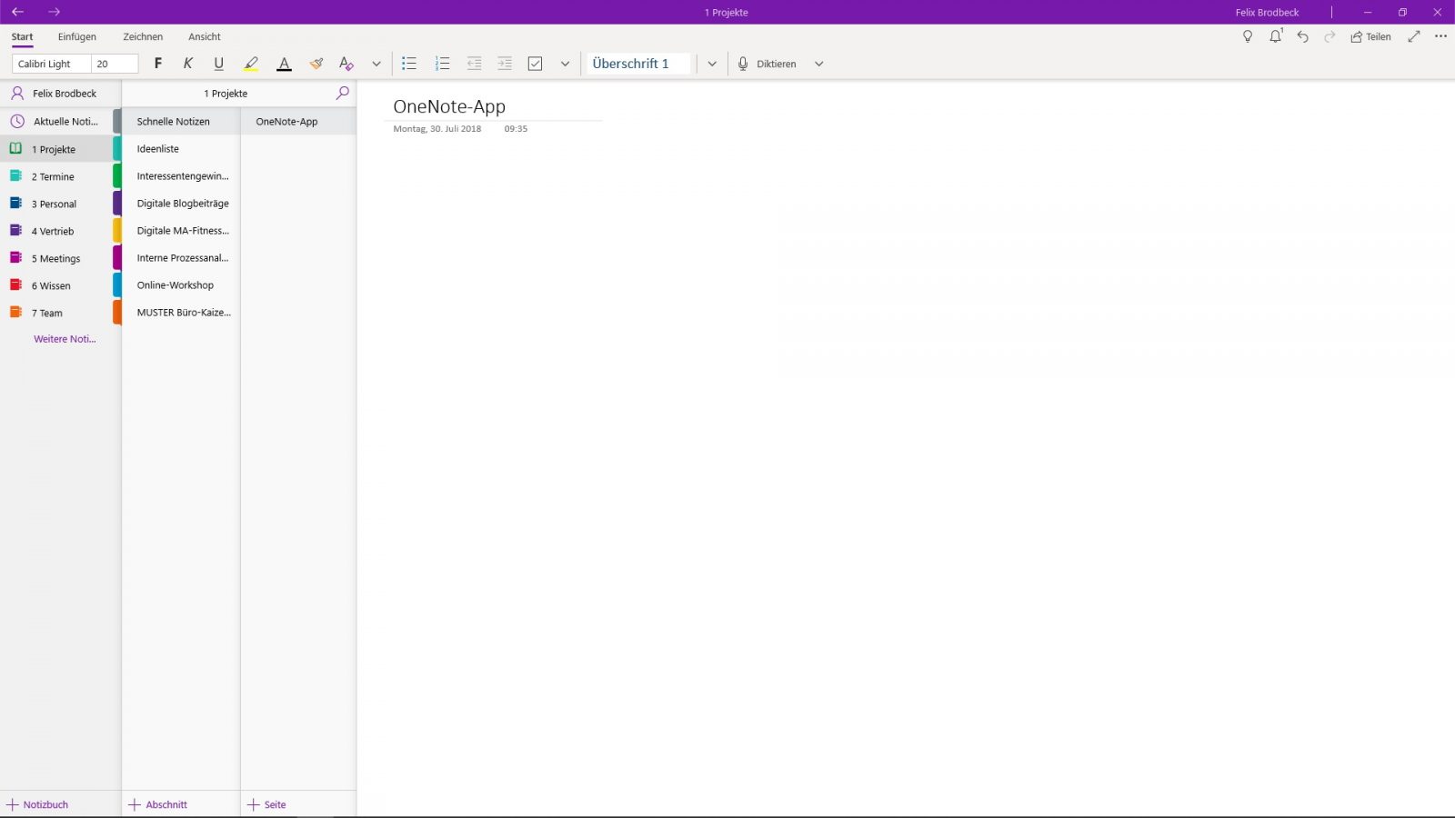 OneNote Anleitung: Wichtiges für den Einstieg