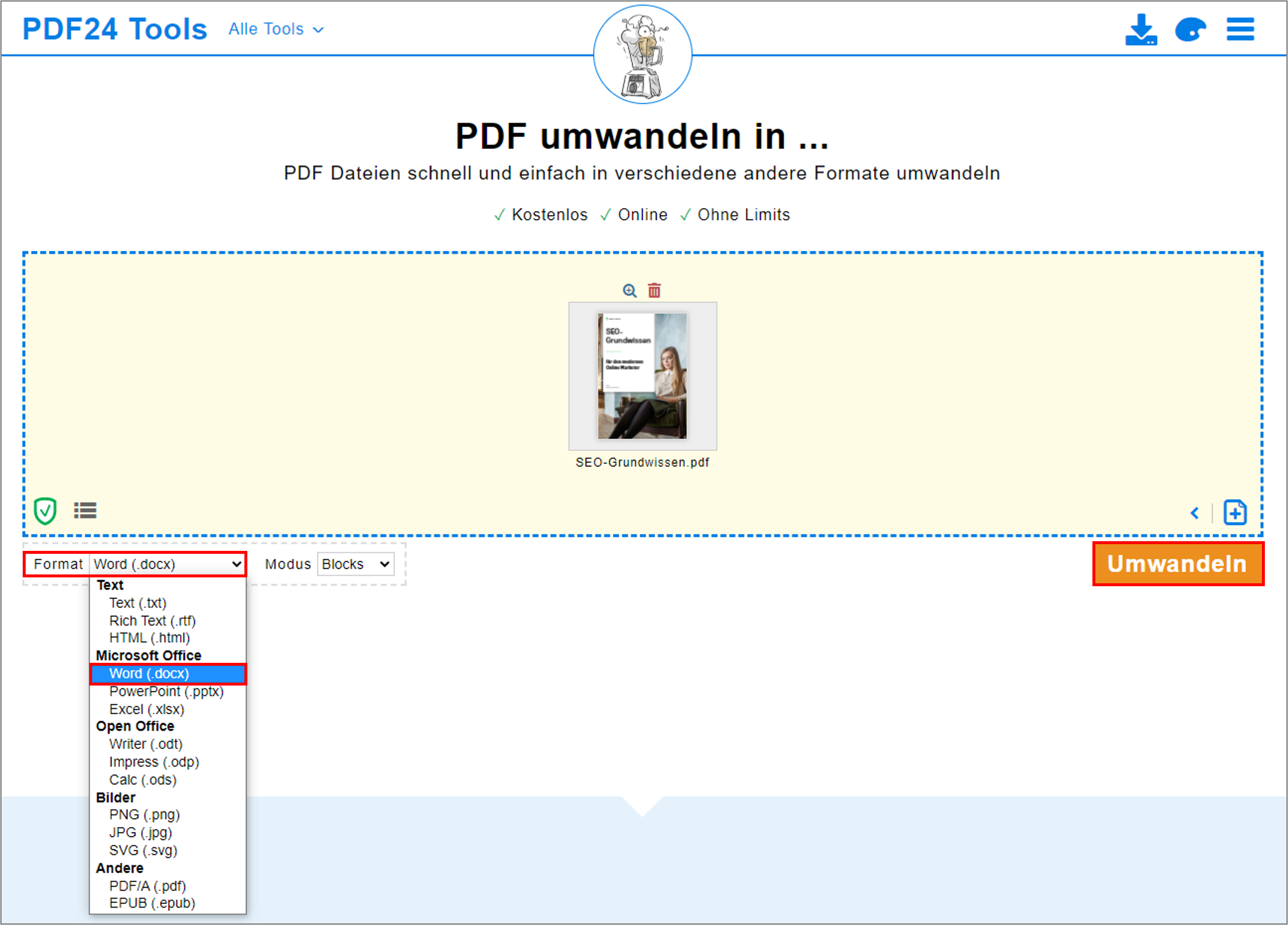 Wenn Sie auf den Pfeil bei "Format" klicken, können Sie das Format auswählen, welches das PDF nach der Umwandlung haben soll.