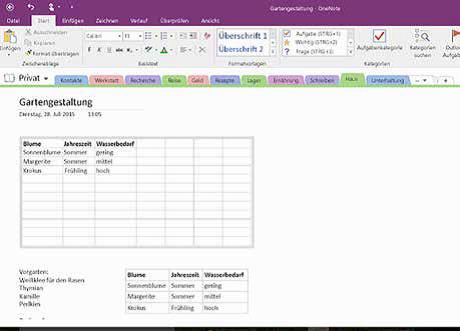 Kostenloser Alleskönner OneNote