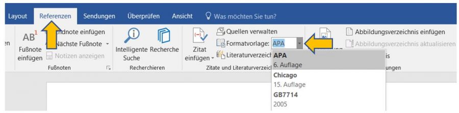 quellenverzeichnis-literaturverzeichnis-word-formatvorlage