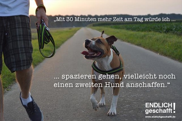 Spazieren gehen Hund anschaffen