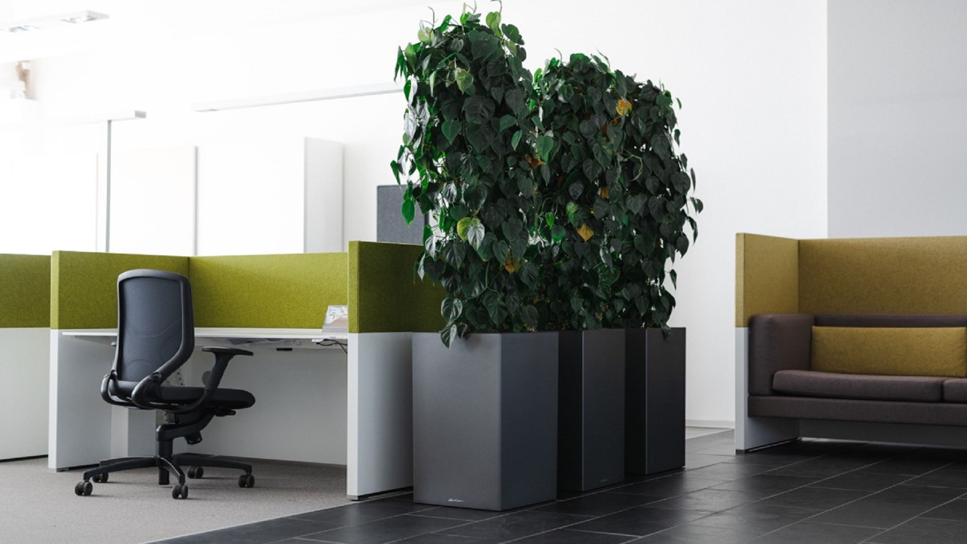 Teams Hintergrund Vorlagen Büro: Arbeitsplatz mit grünen Elementen und Pflanzen. (Bild: Büro-Kaizen)