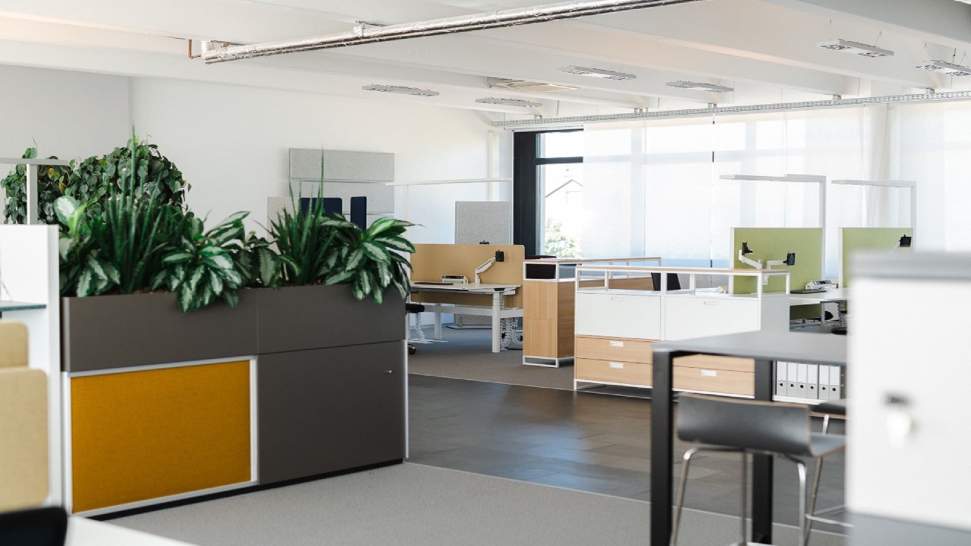 Teams Hintergrund Vorlagen Büro: Modernes Großraumbüro mit Pflanzen als räumliche Abgrenzung. (Bild: Büro-Kaizen)