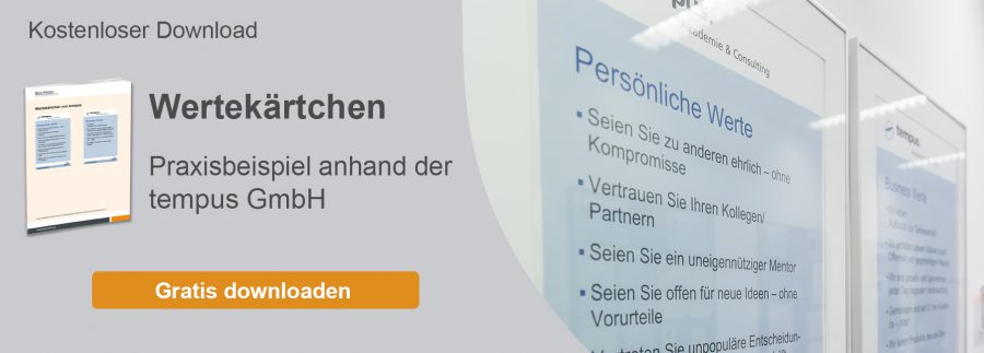 wertekaertchen-praxisbeispiel-vision-ziele-download