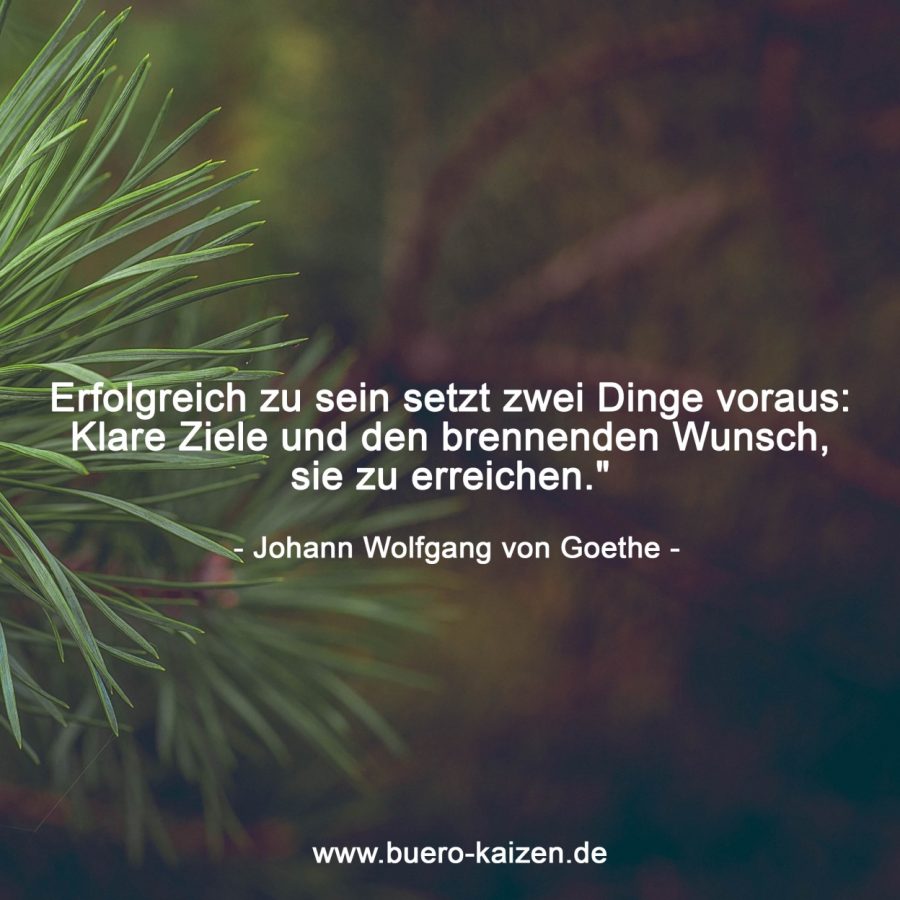 zielpsychologie-smart-motto-ziele
